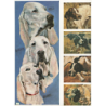 1 papier découpage Chiens-D3