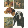 1 papier Découpage Chiens-D5