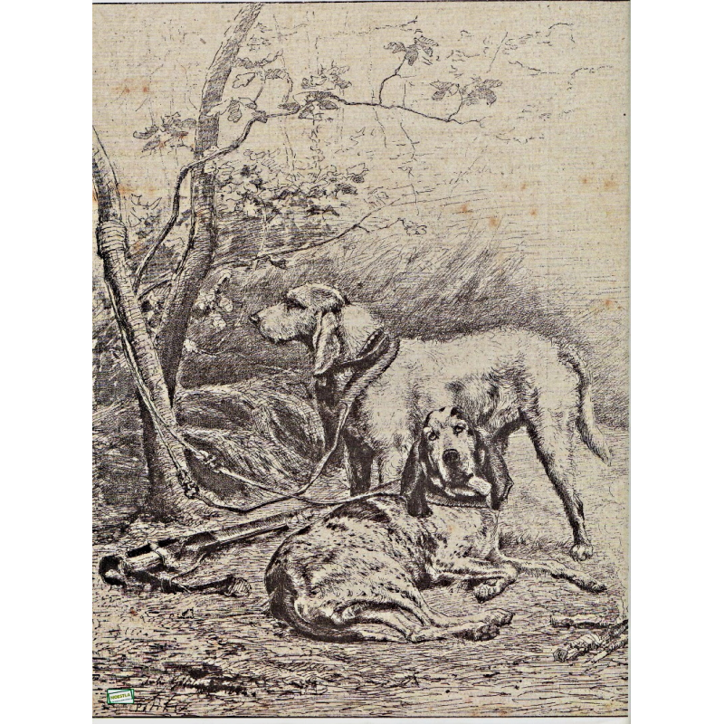 1papier Découpage Chiens-D6