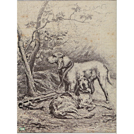 1papier Découpage Chiens-D6