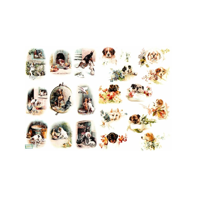 papier à découper Chiens-D630