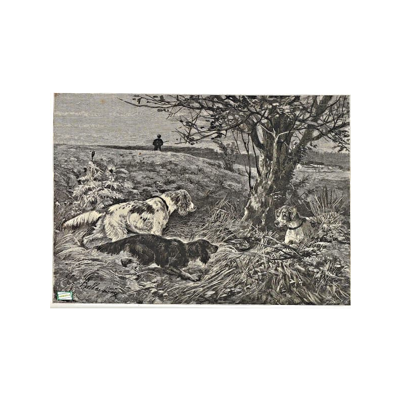 1papier Découpage Chiens-D7