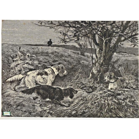 1papier Découpage Chiens-D7