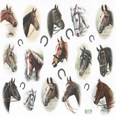 papier à découper Chevaux-D364