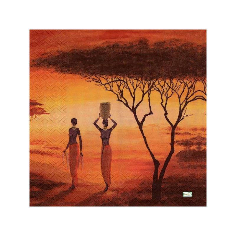 1 serviette papier Afrique-3