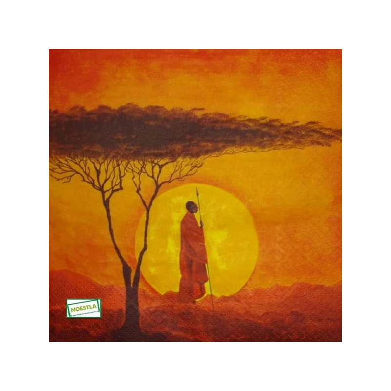 1 serviette papier Afrique - 5