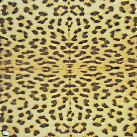 1 serviette papier Afrique-9