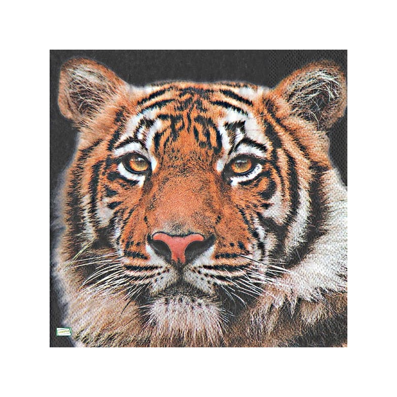 1serviette papier Tigre-20