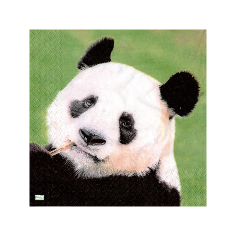 1serviette papier Panda-34