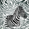 1serviette papier Zèbre-63