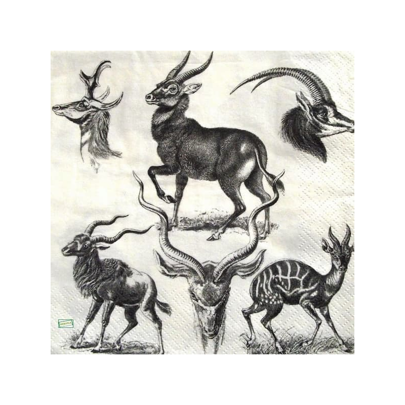 1 serviette Animaux Afrique-81