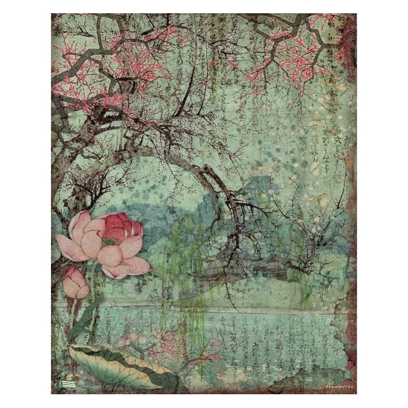 1 papier de riz Asie -STA9