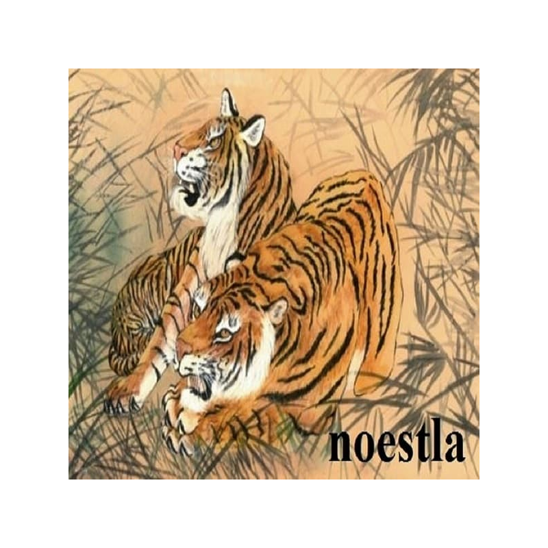 3 papiers de riz Les Tigres -X30