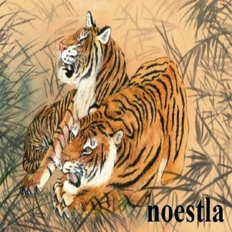 3 papiers de riz Les Tigres -X30