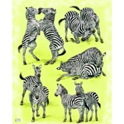 1papier riz Les zèbres-ZAN48G