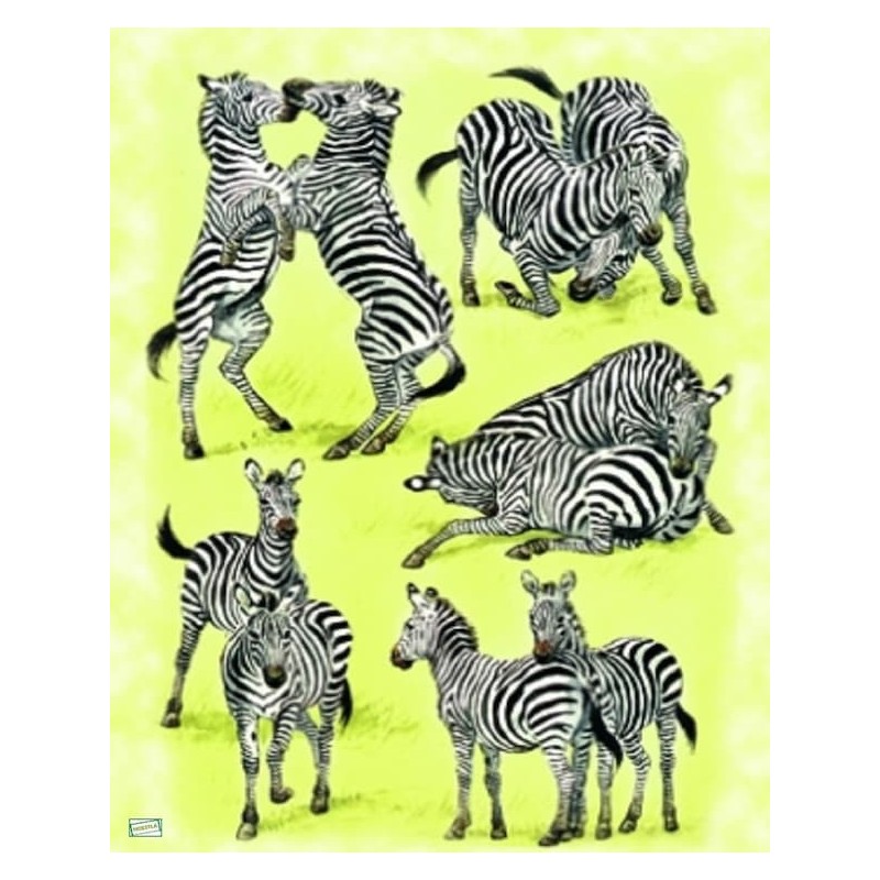 1papier riz Les zèbres-ZAN48G