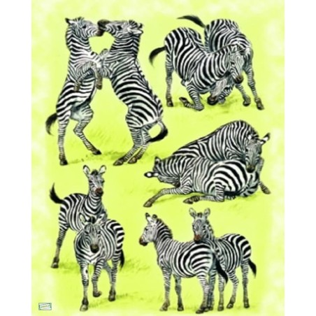 1papier riz Les zèbres-ZAN48G