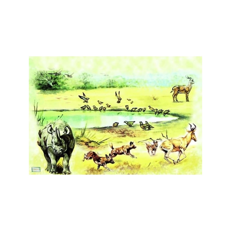 papier riz Animaux Afrique-ZAN57G