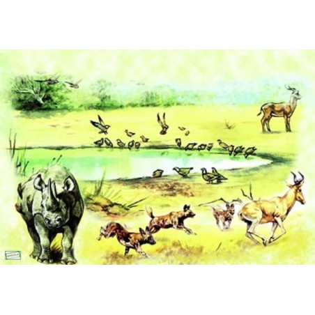 papier riz Animaux Afrique-ZAN57G