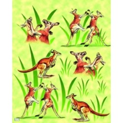 1 papier de riz Kangouroux-ZAN72G