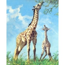 papier riz Les girafes-ZAN192G