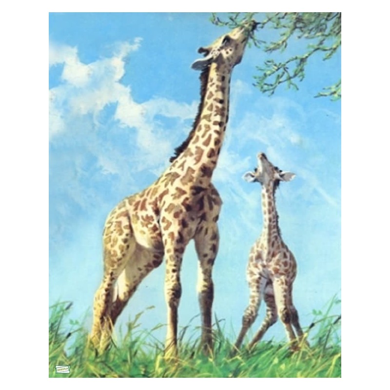 papier riz Les girafes-ZAN192G