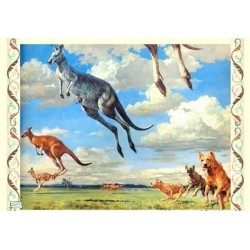 2papiers riz Kangouroux-ZAN217G