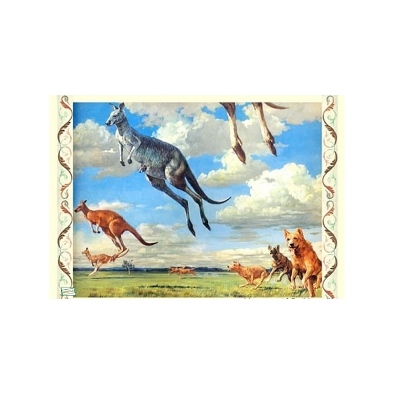 2papiers riz Kangouroux-ZAN217G