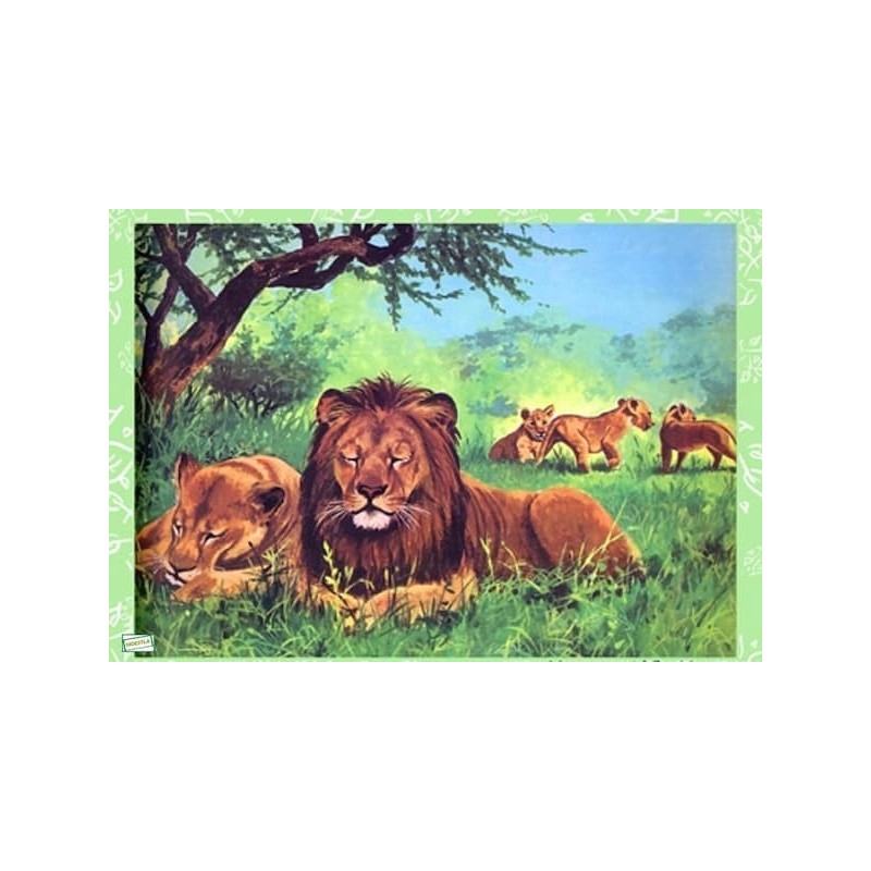 1papier de riz Lions-ZAN270G