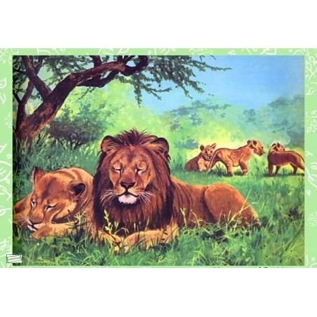 1papier de riz Lions-ZAN270G