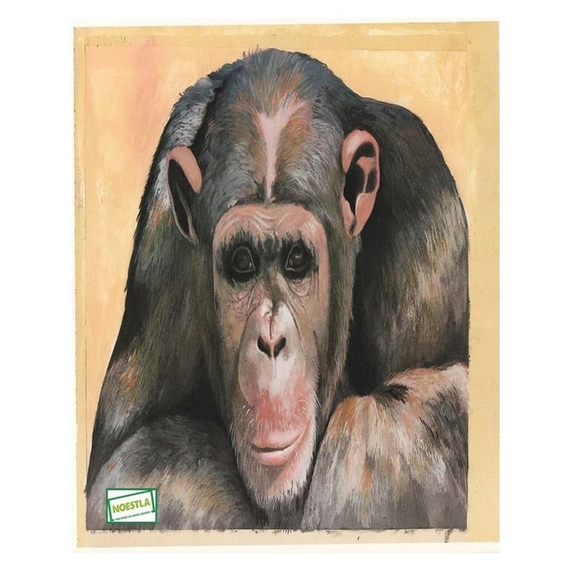 papier découpage Le singe-D0