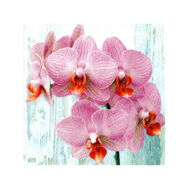 1serviette papier Orchidés-4