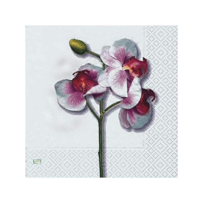 1serviette papier Orchidés-6