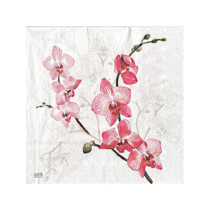 1serviette papier Orchidés-7