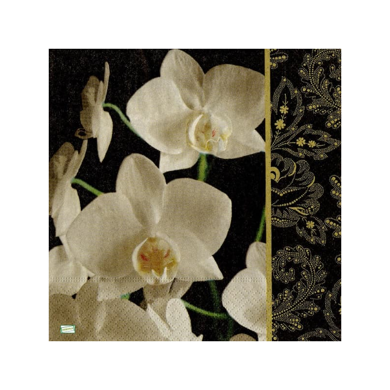 1serviette papier Orchidés-11