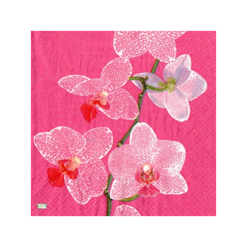 1serviette papier Orchidés-18
