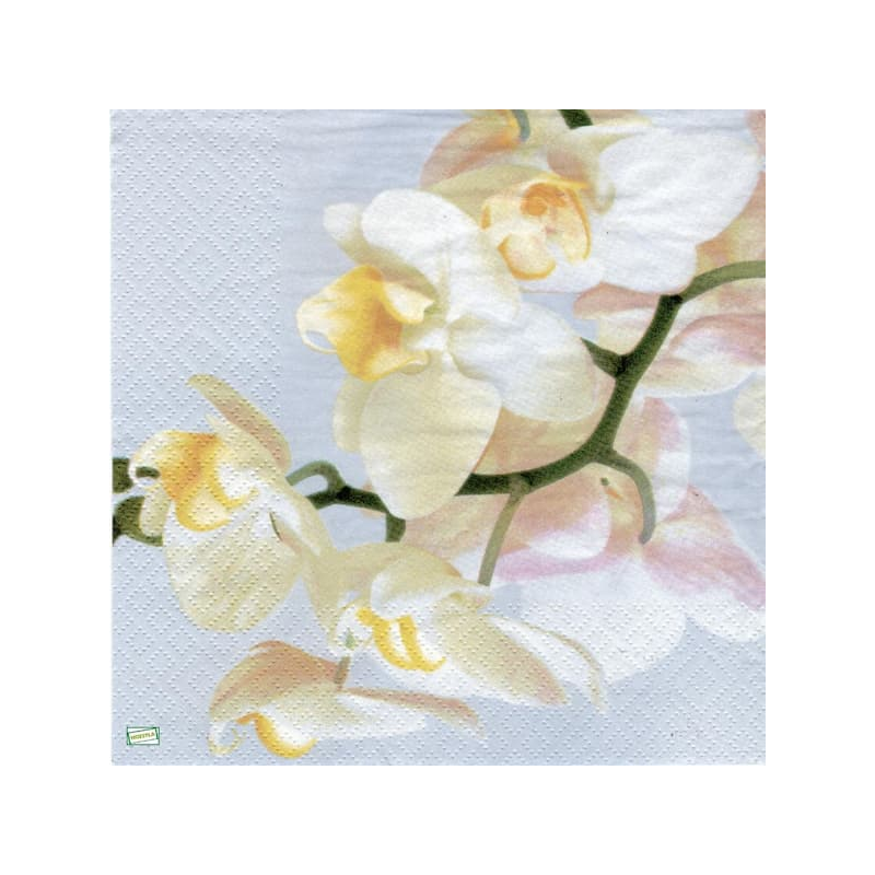 1serviette papier Orchidés-34