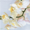 1serviette papier Orchidés-34