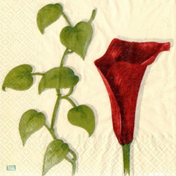 6serviettes papier Arums-37
