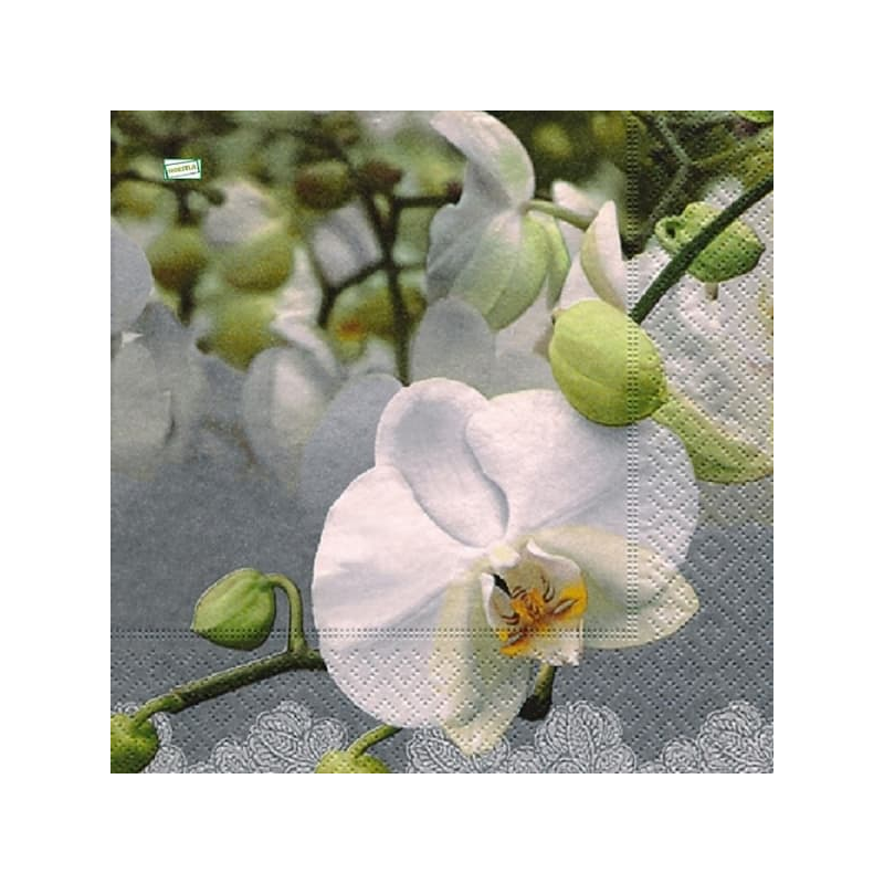 1serviette papier Orchidés-41