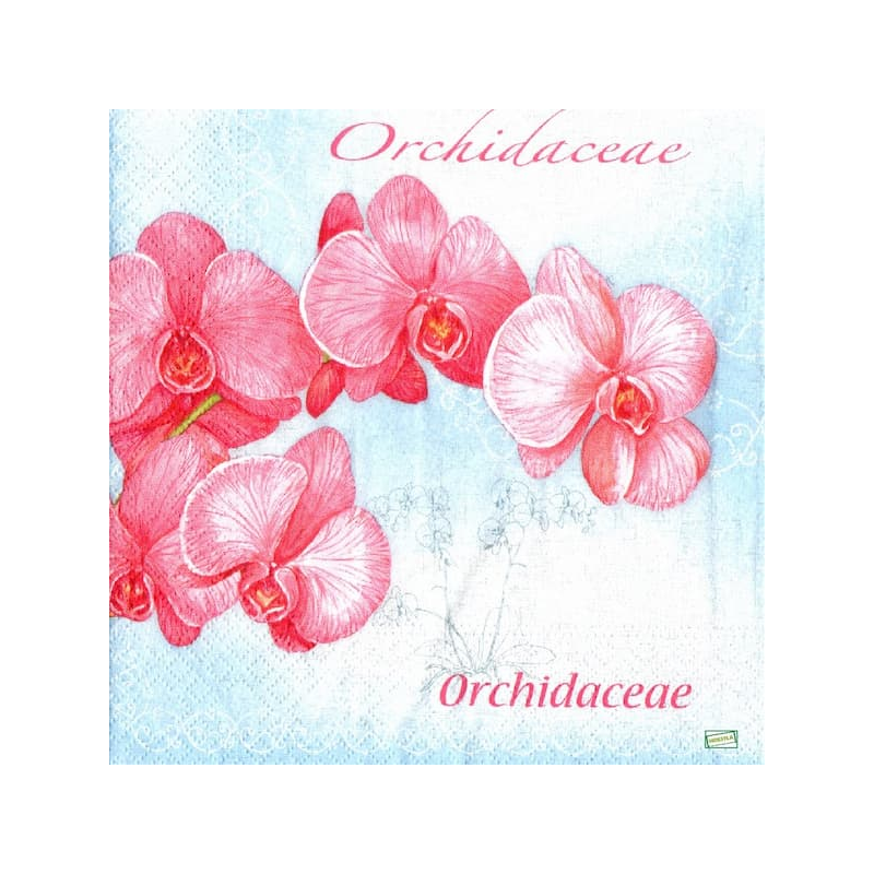 1serviette papier Orchidés-42
