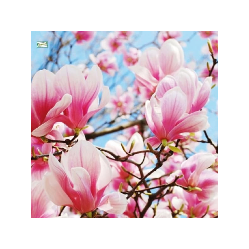 1serviette papier Orchidés-46