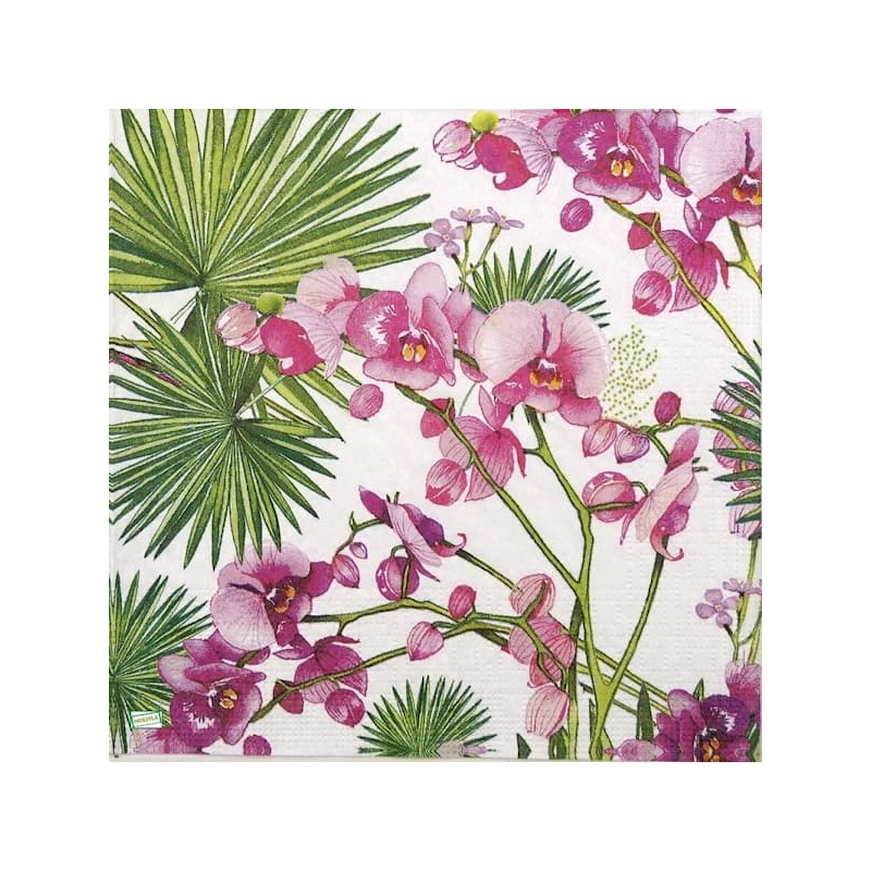 1serviette papier Orchidés-49