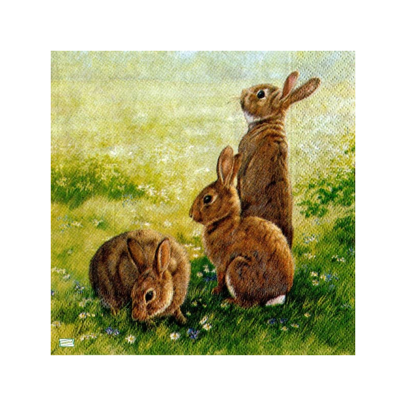 1serviette papier Lapins-26