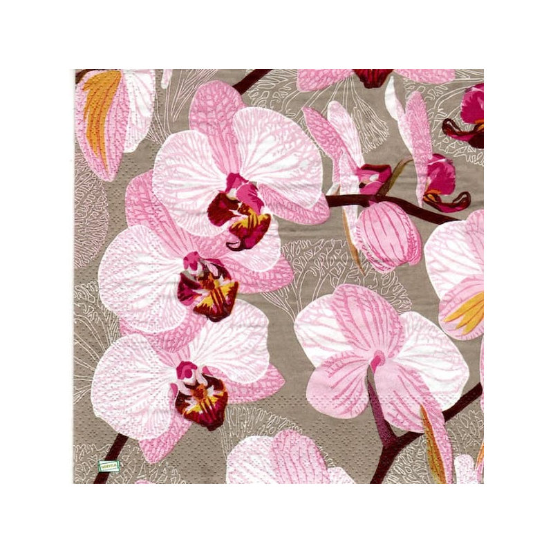 1serviette papier Orchidés-51