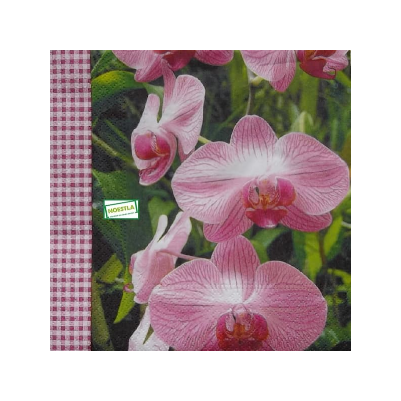 1serviette papier Orchidés-57