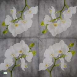 1serviette papier Orchidés-61
