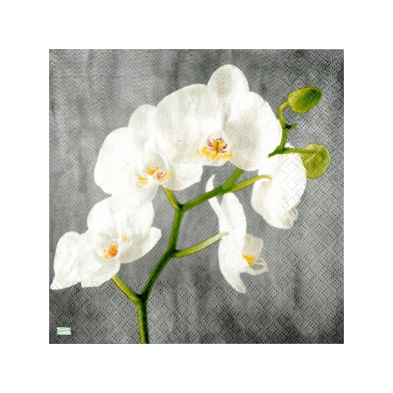 1serviette papier Orchidés-61