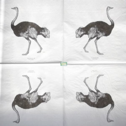 1 serviette L' Autruche -18