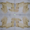 1serviette papier Les Ours-41